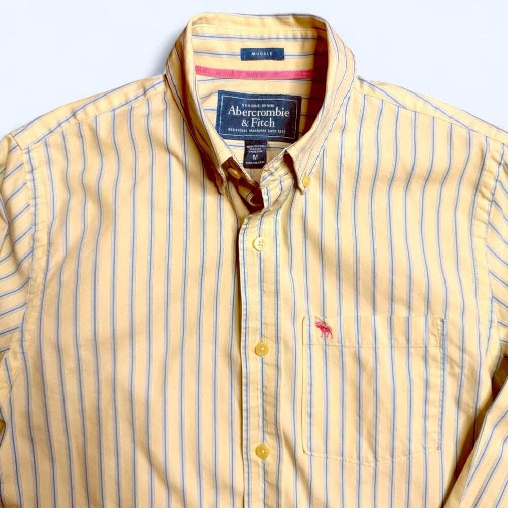 Vintage Abercrombie & Fitch Muscle Fit Striped Shirt